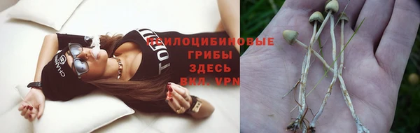 spice Алексин