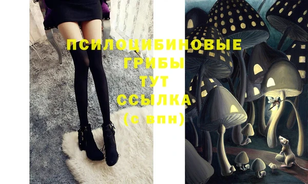 синтетический гашиш Алексеевка
